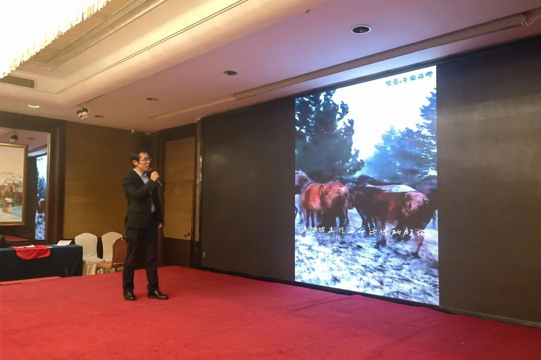 1707206640920428.jpg 23.jpg